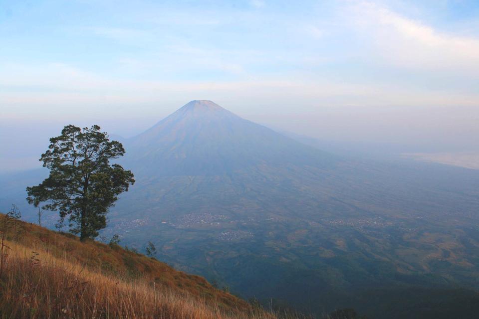 Pestan Camping Ground, Gn. Sumbing